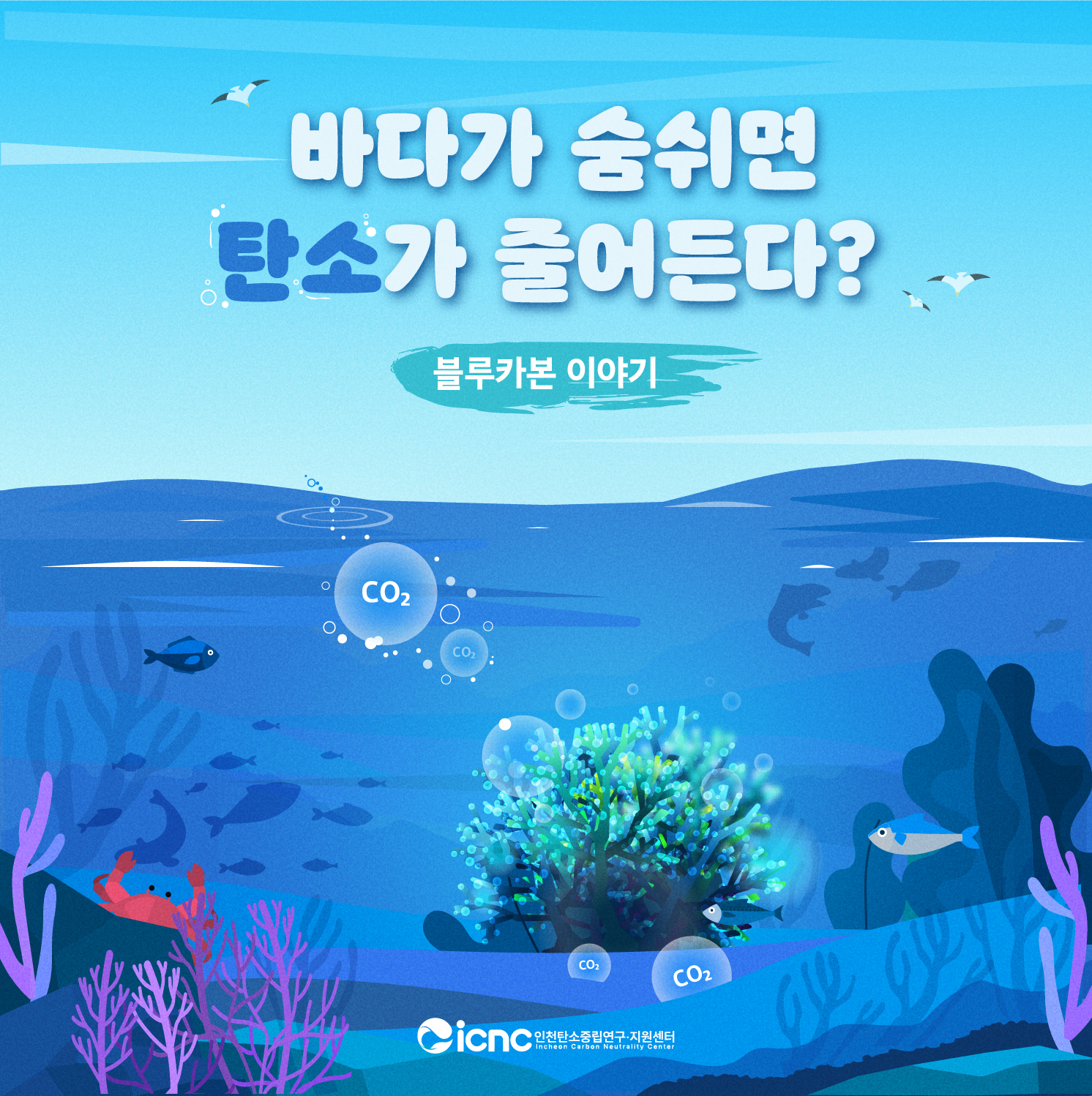 (카드뉴스 24호) 바다가 숨쉬면 탄소가 줄어든다?